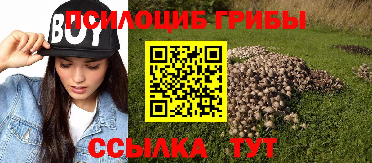 Псилоцибиновые грибы прущие грибы Ипатово