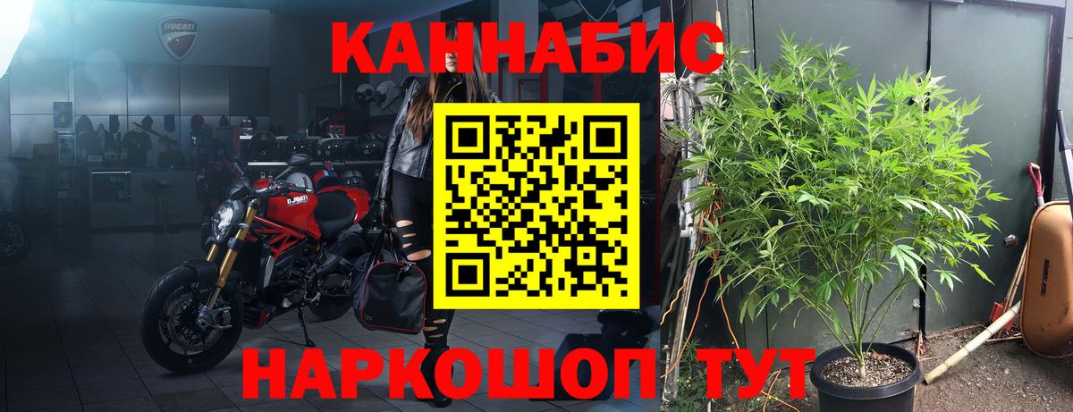 Канабис ГИДРОПОН Ипатово